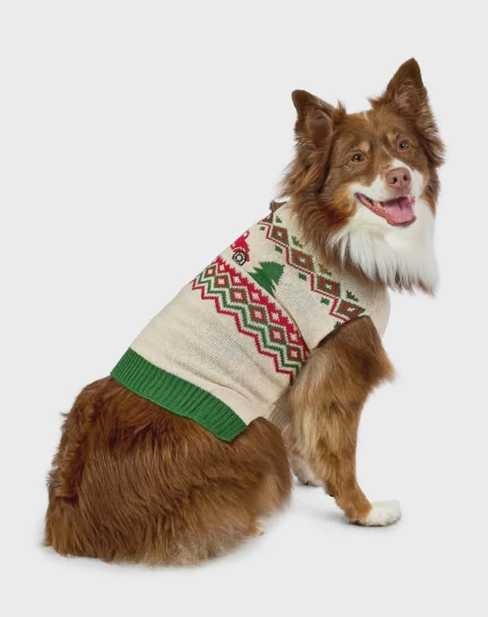 NEW! Vibrant Life Christmas Pet Dog Sweater Costume Size M 20-50lb Red Truck